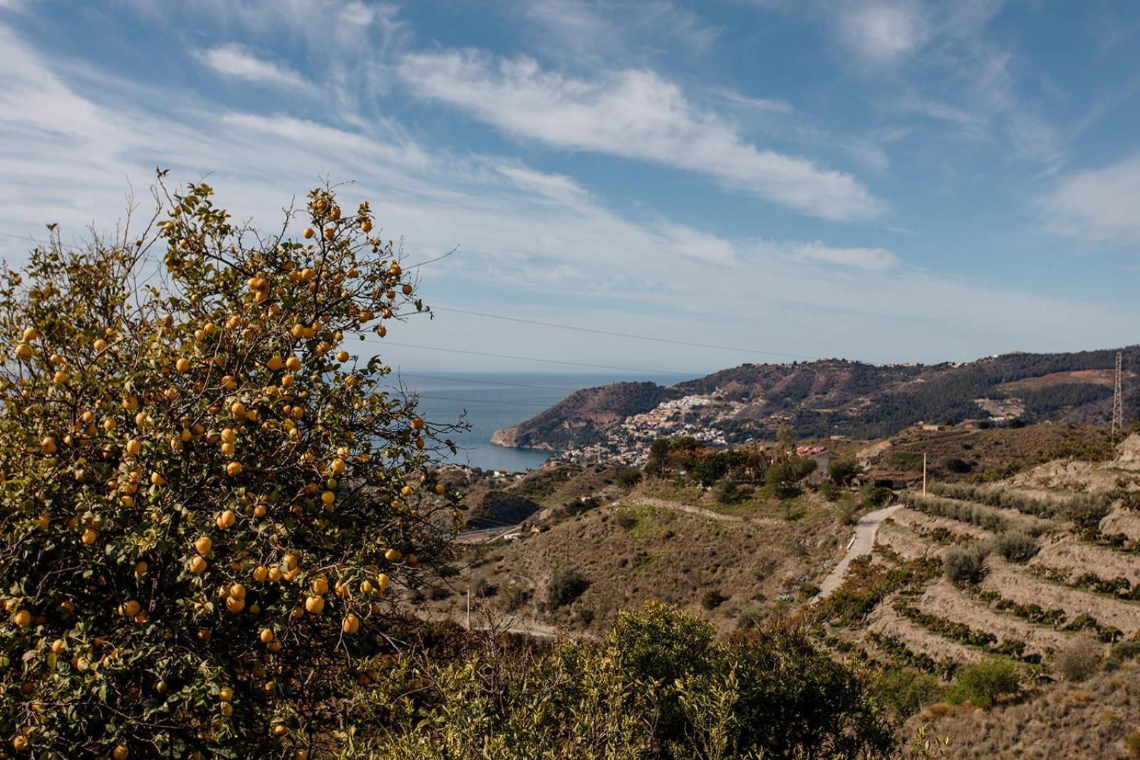 Finca La Herradura Экстерьер фото